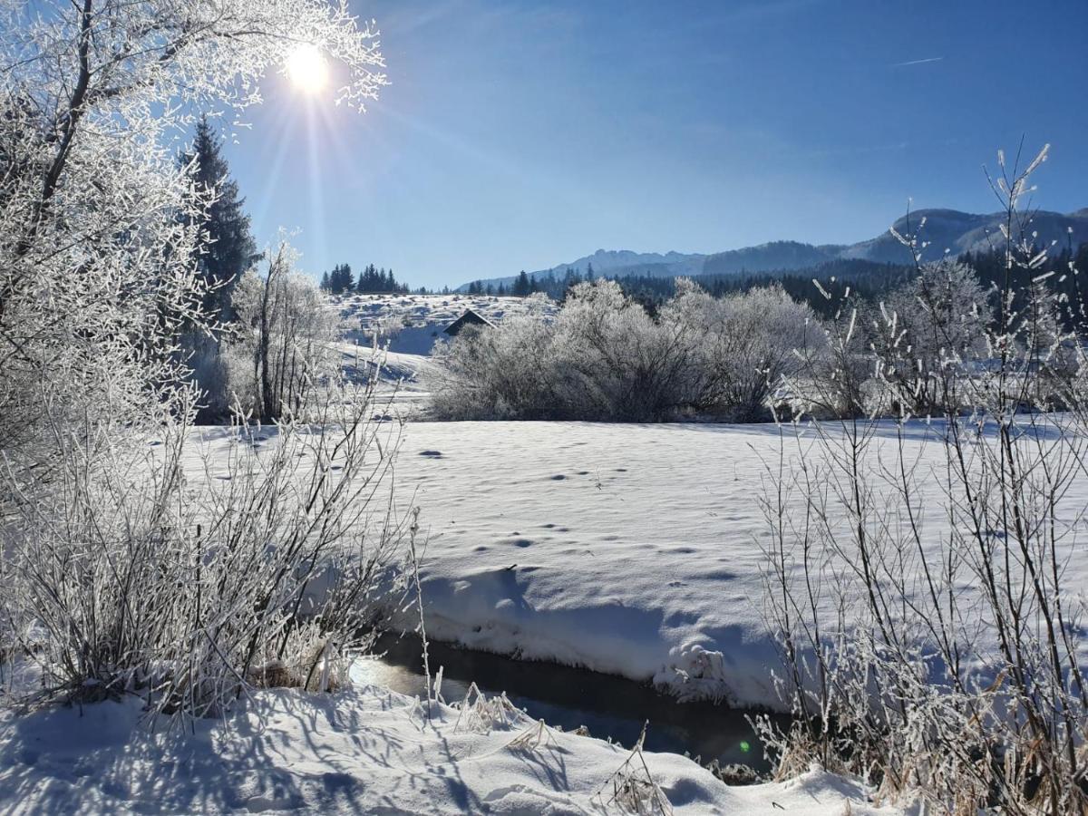 Haus Karina Hotel Bad Mitterndorf Luaran gambar